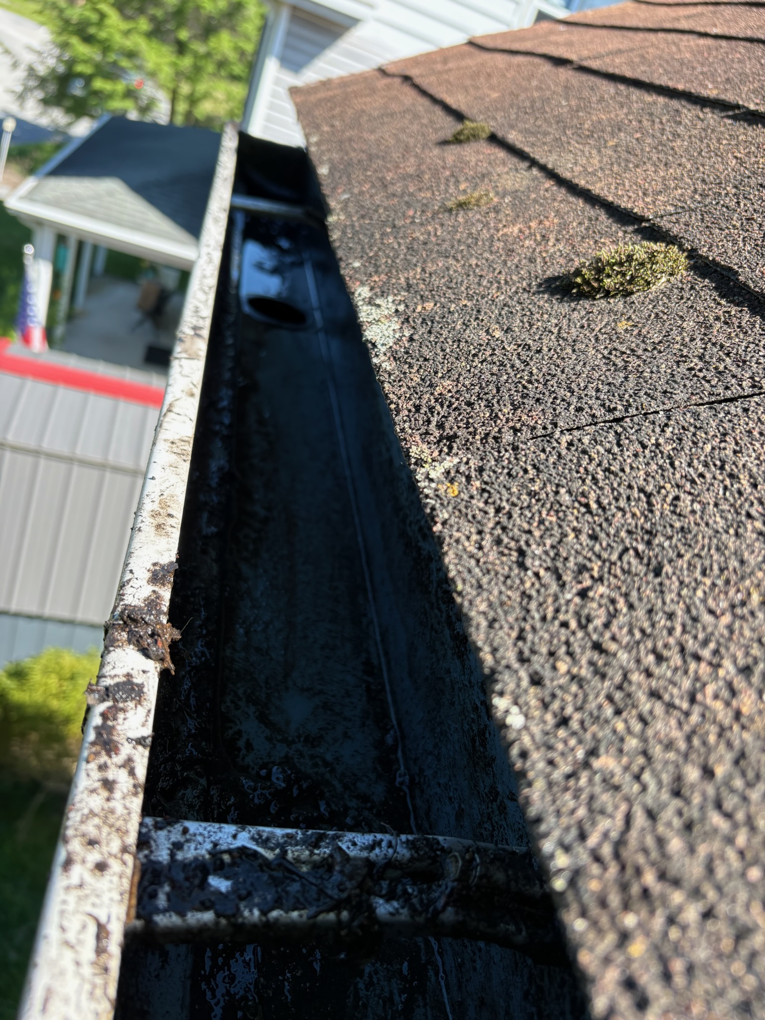 IMG_2508
